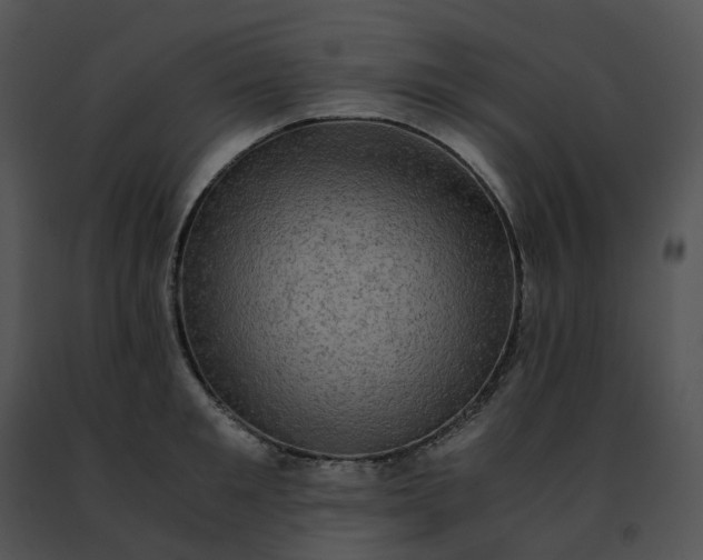 X0000091480901200708301912