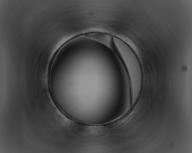 X0000091480902200708301912