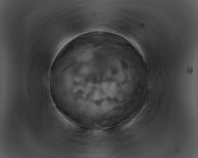 X0000091480903200708301912