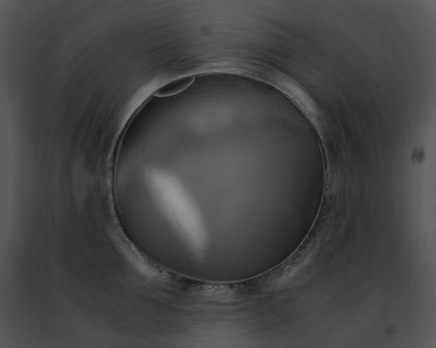 X0000091480907200708301912