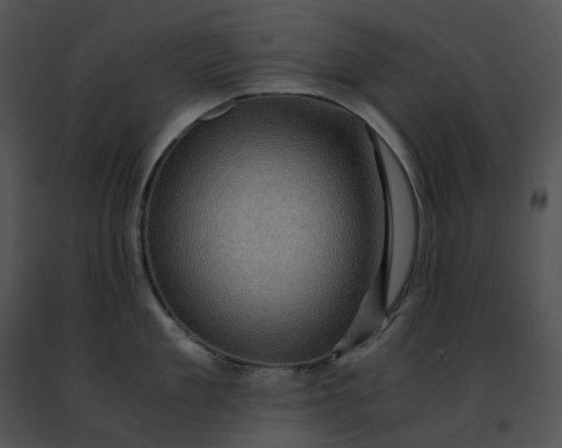 X0000091480909200708301912