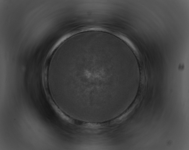 X0000091480910200708301912