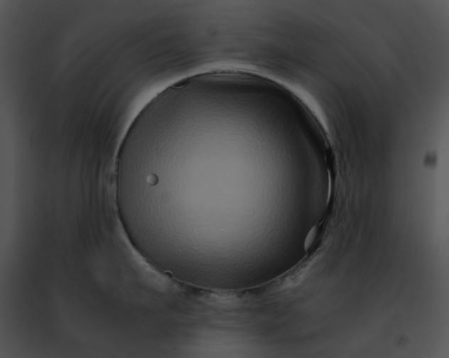 X0000091480911200708301912