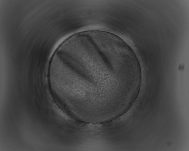 X0000091480912200708301912