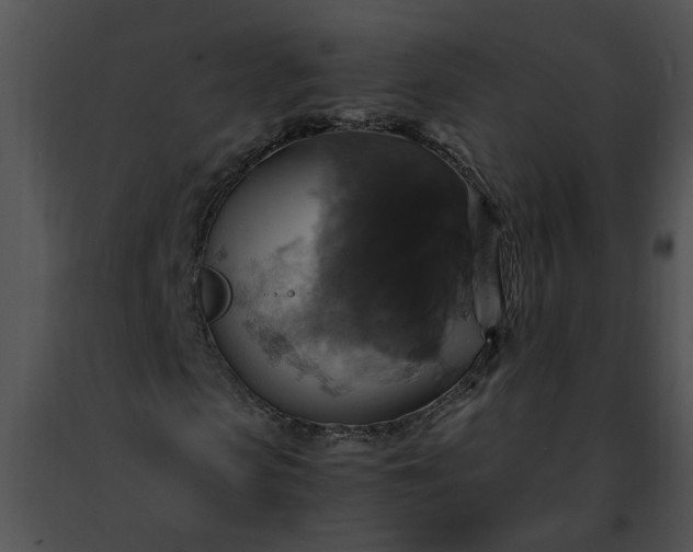 X0000091480913200708301911