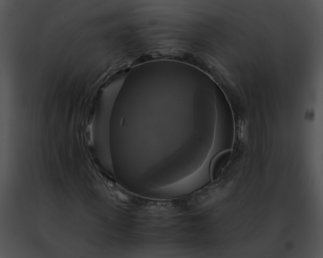 X0000091480915200708301911