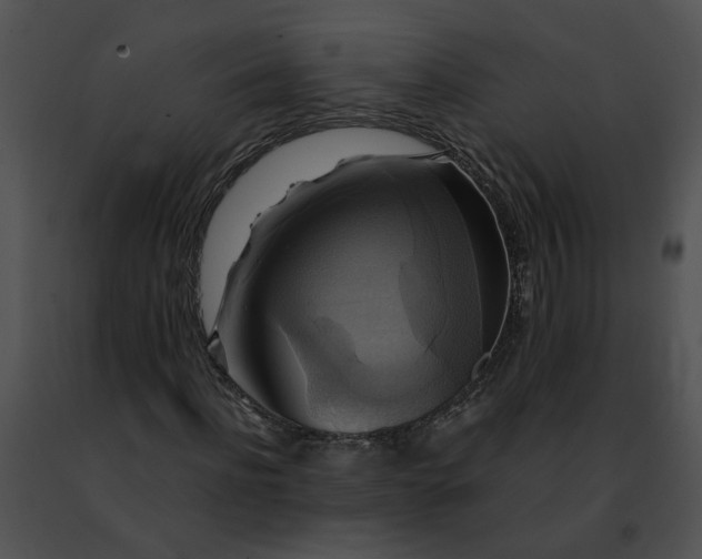 X0000091480916200708301911