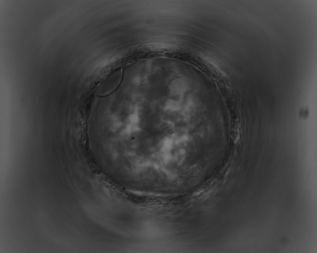 X0000091480917200708301911