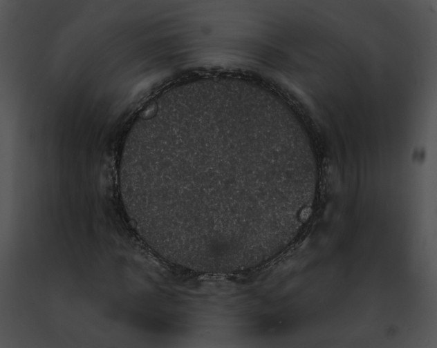 X0000091480918200708301911