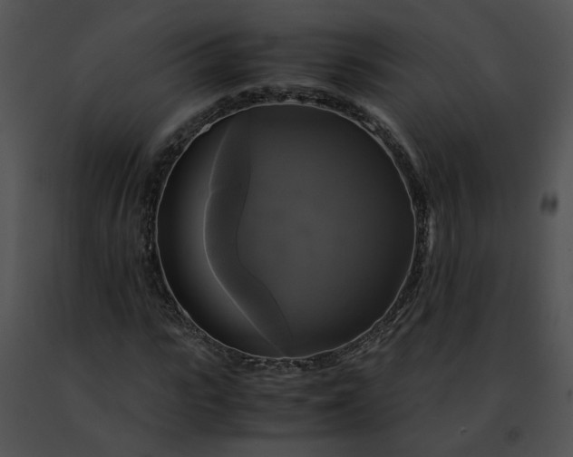 X0000091480919200708301911