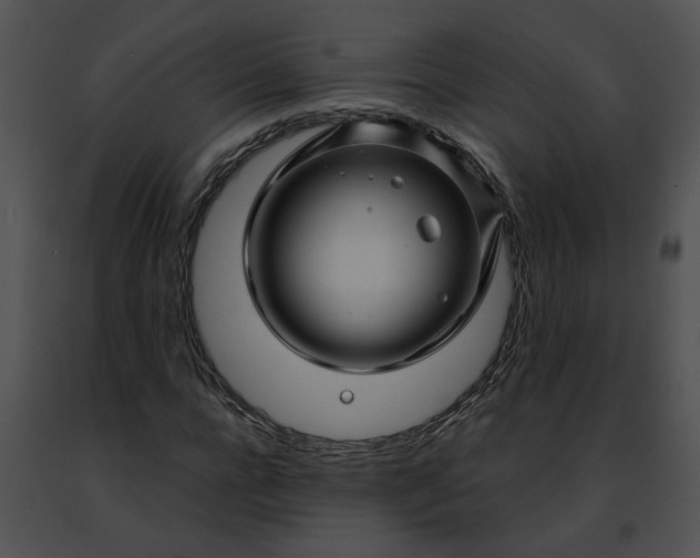 X0000091480920200708301911