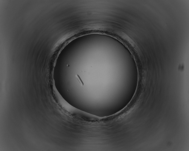 X0000091480922200708301911