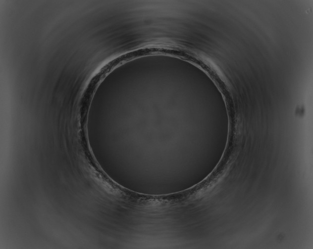 X0000091480923200708301911