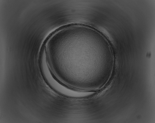 X0000091480924200708301911