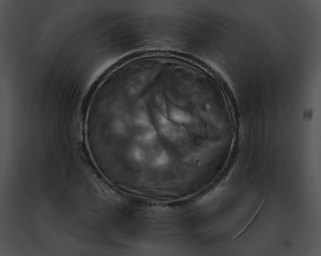 X0000091480925200708301911