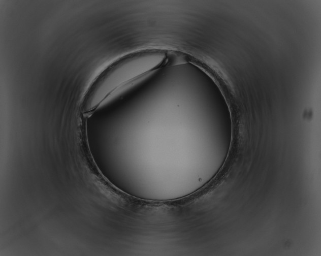 X0000091480926200708301911