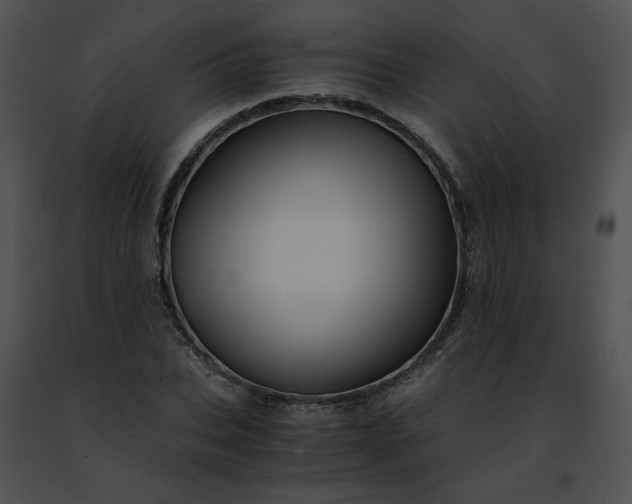 X0000091480927200708301911