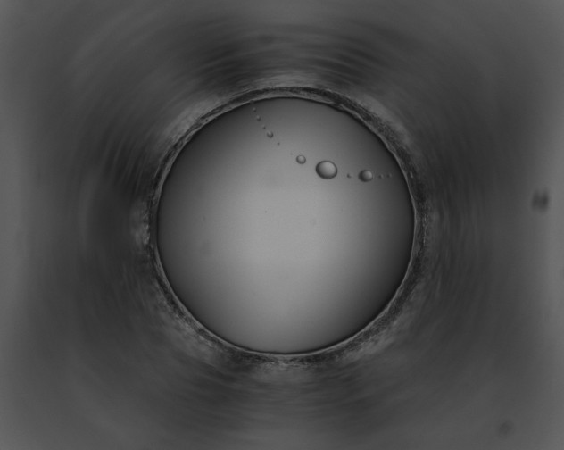 X0000091480929200708301911