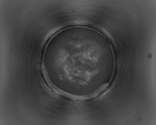 X0000091480930200708301911