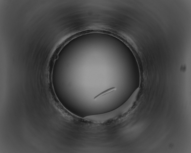 X0000091480931200708301911