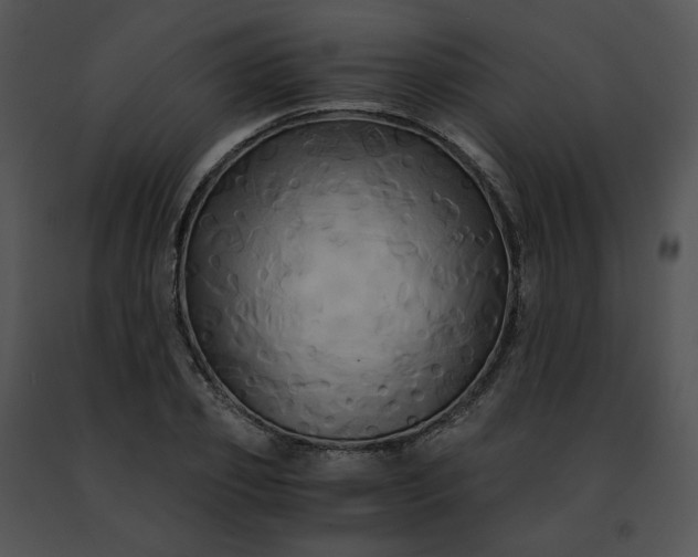 X0000091480933200708301911