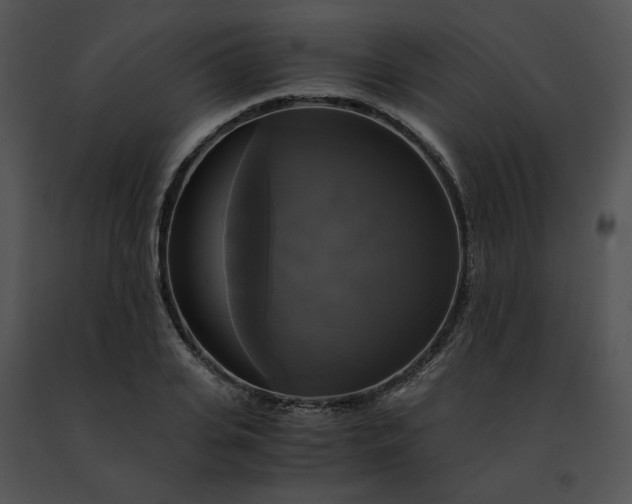 X0000091480935200708301911