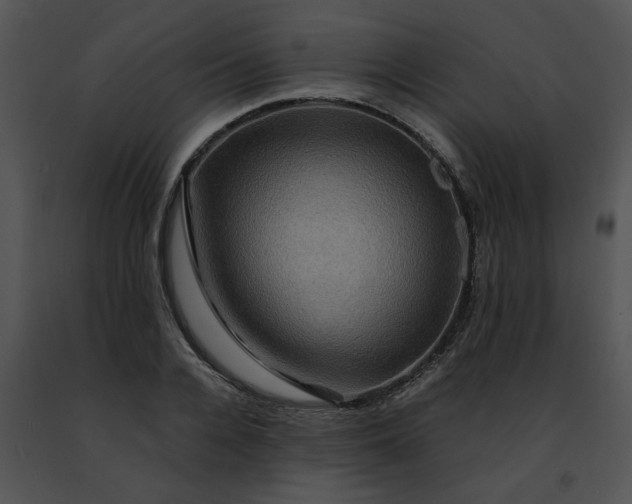 X0000091480936200708301911