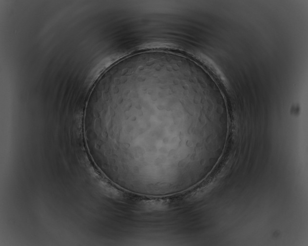 X0000091480937200708301911