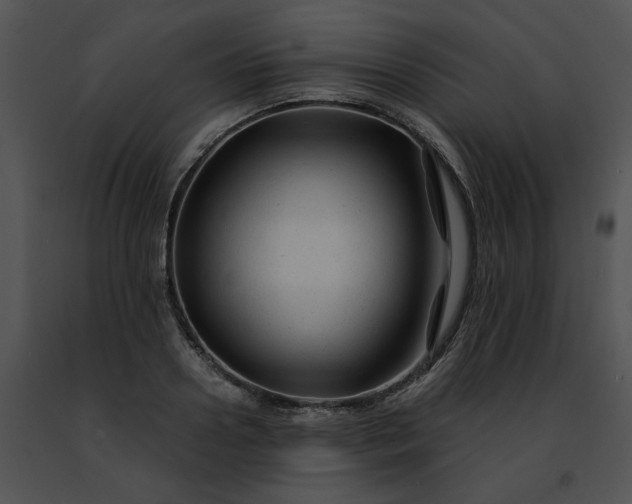 X0000091480938200708301912