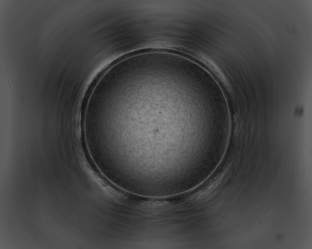 X0000091480939200708301912