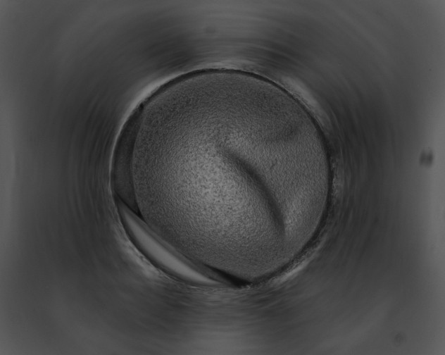 X0000091480940200708301912