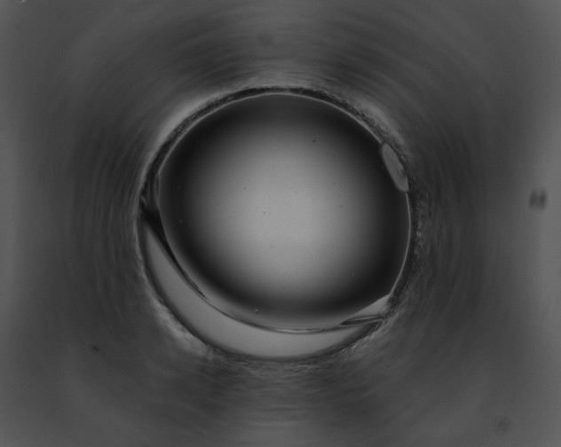 X0000091480942200708301912