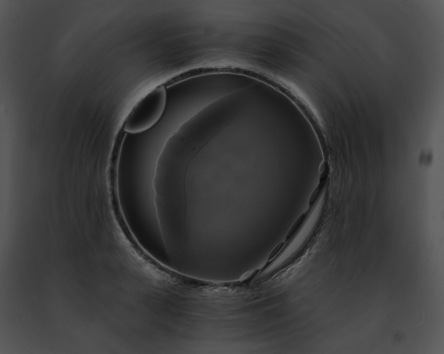 X0000091480943200708301912