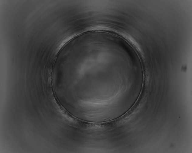 X0000091480945200708301912