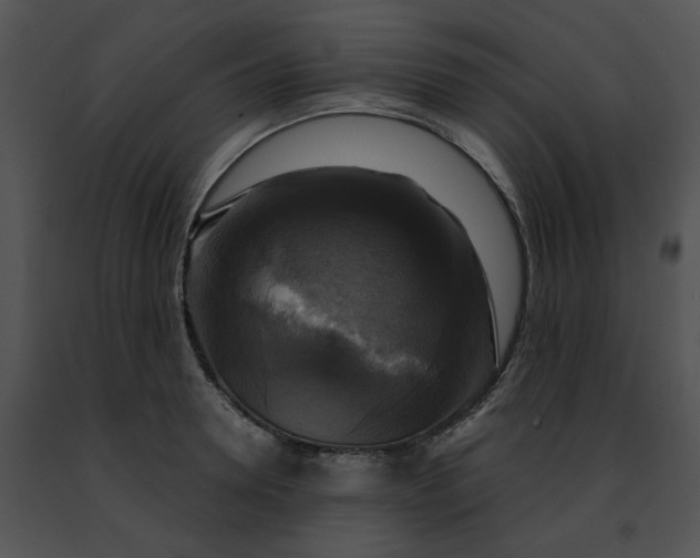 X0000091480946200708301912