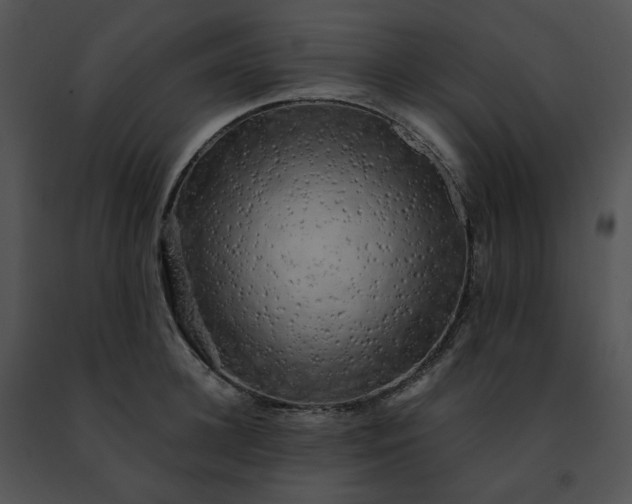 X0000091480948200708301912