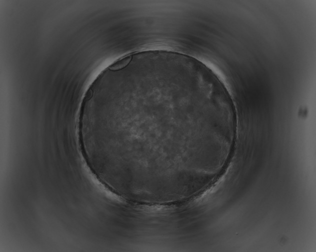 X0000091480949200708301912