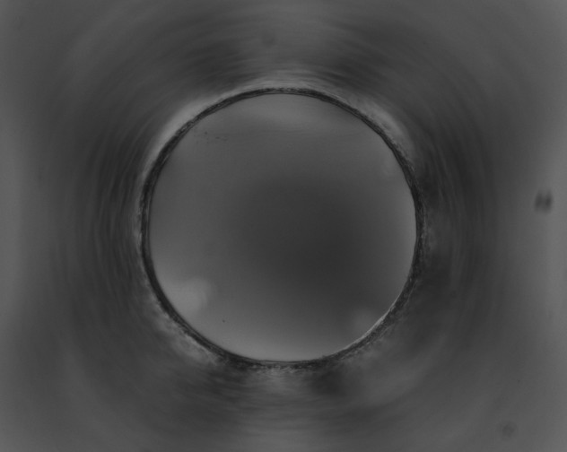 X0000091480950200708301912