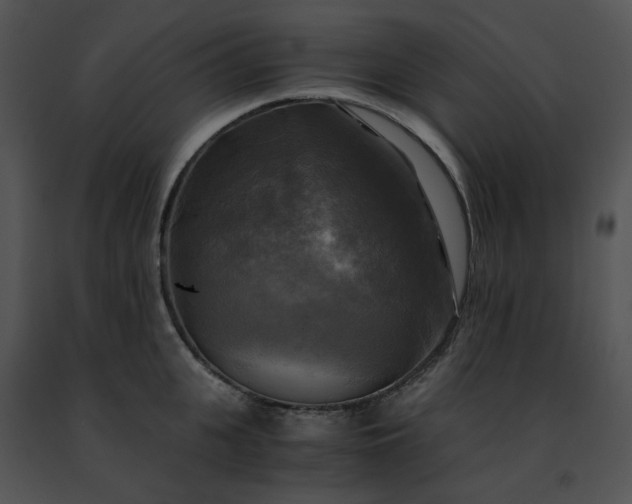 X0000091480951200708301912