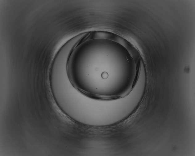 X0000091480952200708301912