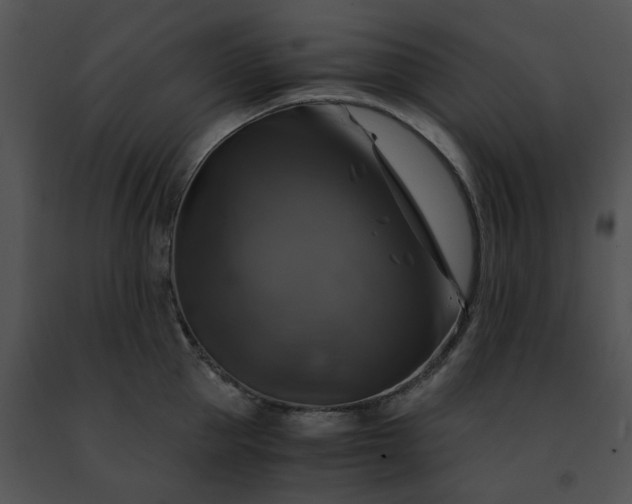 X0000091480953200708301912