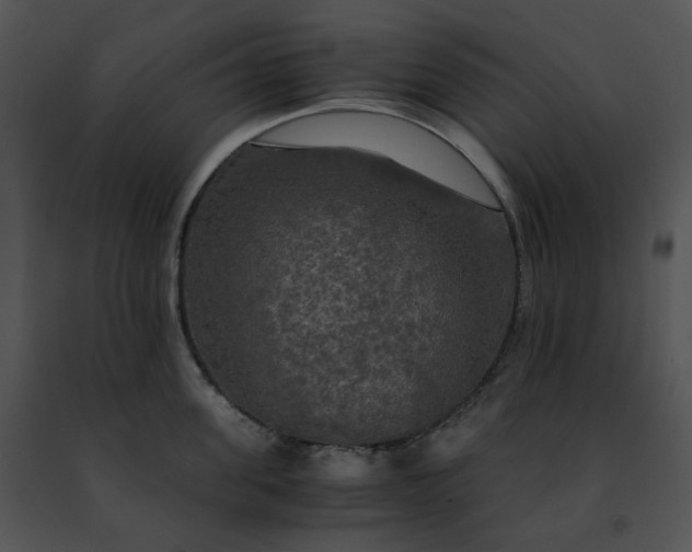 X0000091480955200708301912