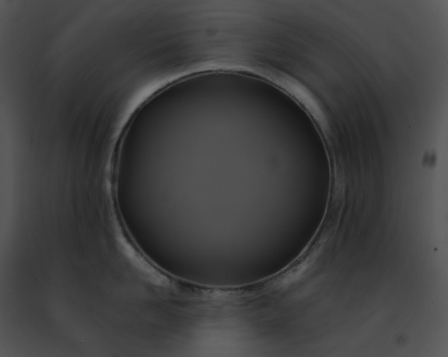 X0000091480958200708301912