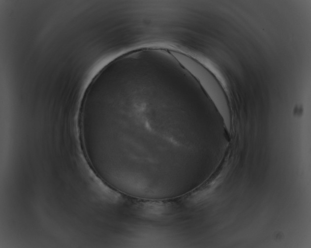 X0000091480959200708301912