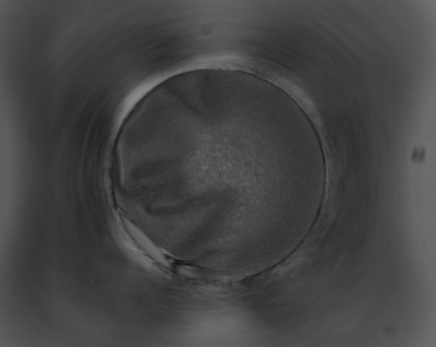 X0000091480960200708301912