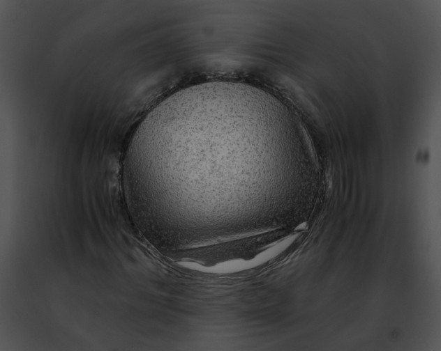 X0000091480964200708301911