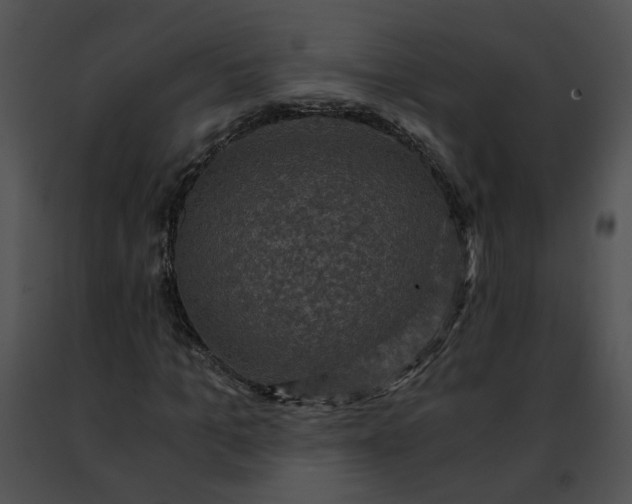 X0000091480965200708301911