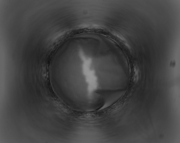 X0000091480966200708301911