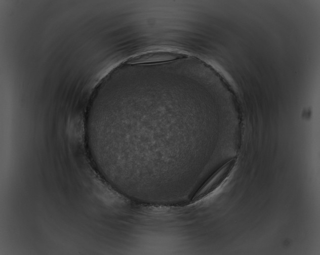 X0000091480969200708301911