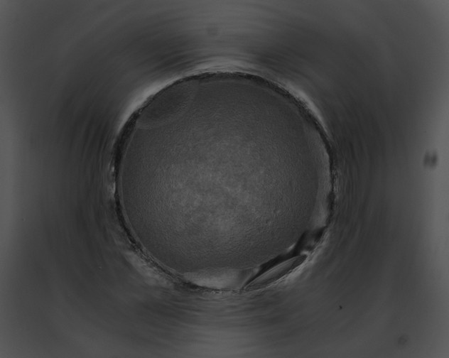 X0000091480973200708301911